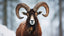 Understanding the 0 Degrees Aries Ascendant and Its Power - Nika White’s Astrology